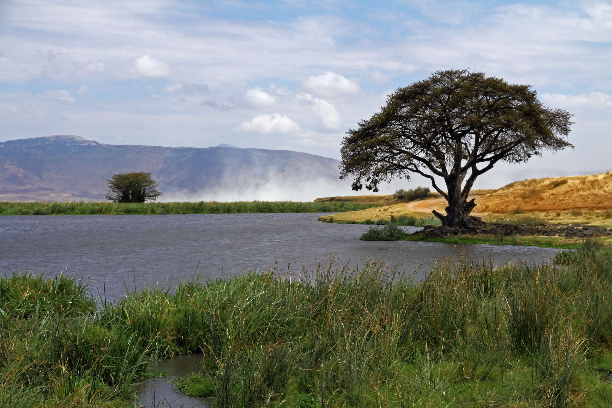 Watering Hole In The Ngorongoro Crater Of Tanzania